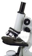 顯微鏡 生命科學研究的“慧眼”